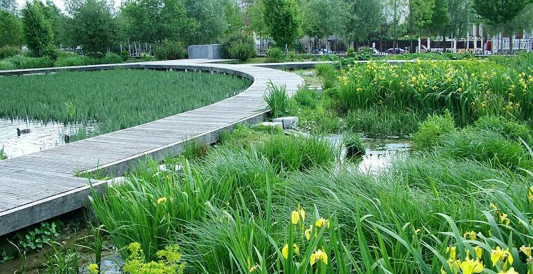 Por que olhar para soluções ecológicas no esgotamento sanitário